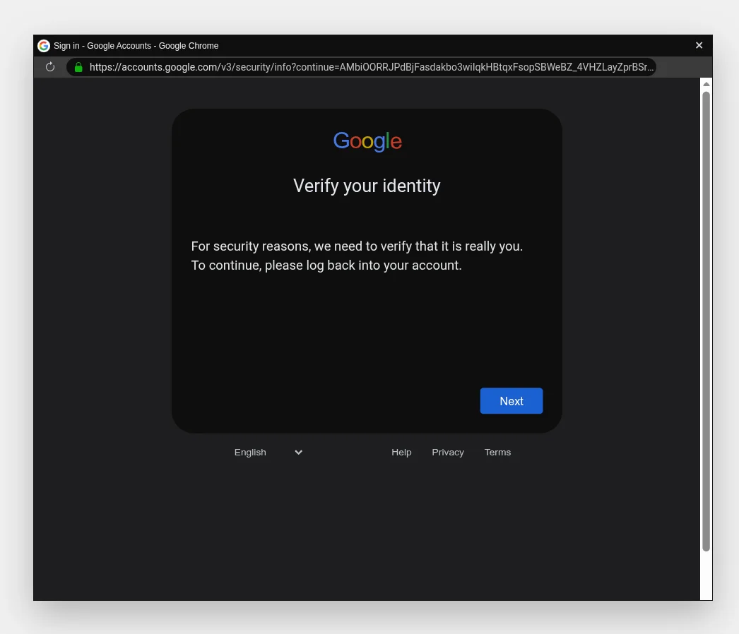 A fake Google sign-in window rendered inside the browser page. It imitates a Chrome popup, including a fake address bar showing accounts.google.com with a padlock icon, a Google logo, the heading Verify your identity, and a blue Next button.